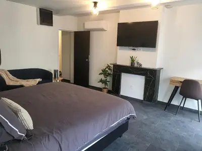 a bedroom with a bed and a fireplace and a flat screen tv at Loogiez in Tongeren