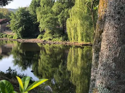 a river with trees and reflections in the water at Jacuzzi - BBq - Jardin - Garden Lodge - Le Tulipier in Olne