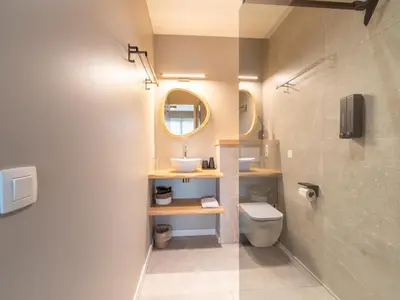 a bathroom with a sink and a toilet and a mirror at Beaunita Luxe Stay in Hamont in Hamont-Achel