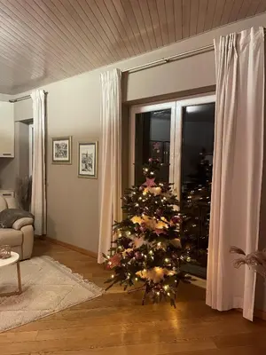 a christmas tree sitting in a living room with at Apart Loten in Eupen