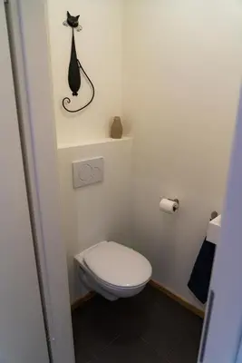 a bathroom with a toilet with a cat on the wall at Cheval Blanc - Holiday Rental in Aubel