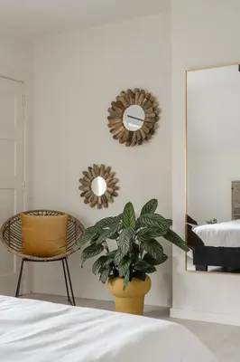 a bedroom with a plant and a chair and mirrors at Vakantiewoning 't Hovenshuis in Kinrooi
