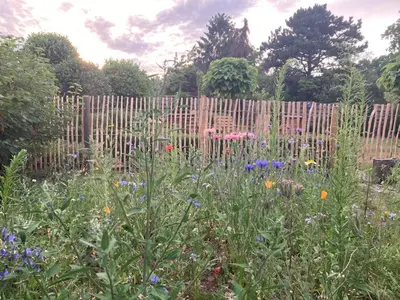 a garden with flowers in front of a wooden fence at Vakantiewoning De Papendaler in Zutendaal