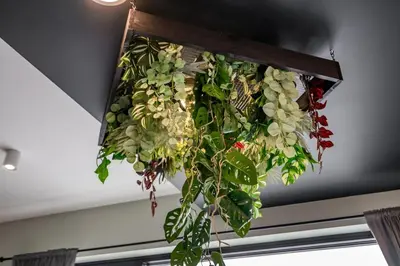 a potted plant hanging from a ceiling at La suite Ara, avec sauna in Liège