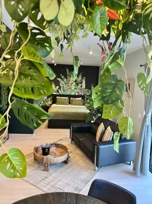 a living room with a couch and lots of plants at La suite Ara, avec sauna in Liège