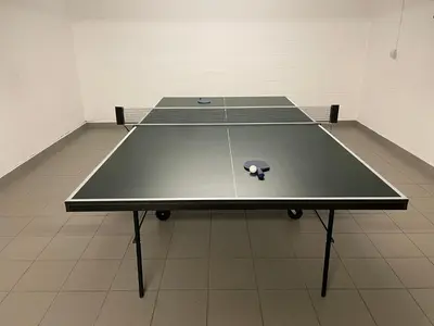 a ping pong table in a room with two tennis courts at Vakantiewoning Villa 35 in Maasmechelen