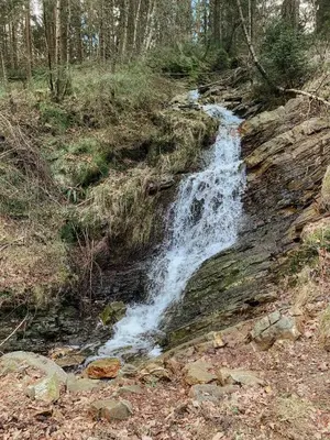 a waterfall on the side of a hill with trees at Loft 88 in Eupen