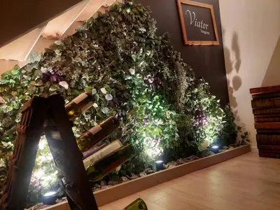 a room with a wall of plants and wine bottles at Viator Holidayhome in Tongeren