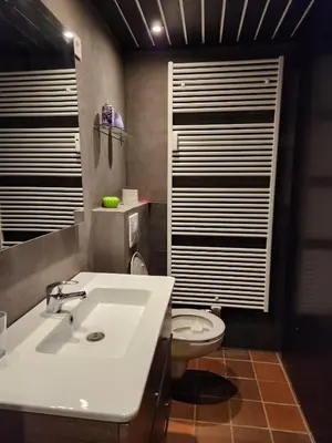 a bathroom with a white sink and a toilet at Hengelhoef Berk 5 in Houthalen-Helchteren