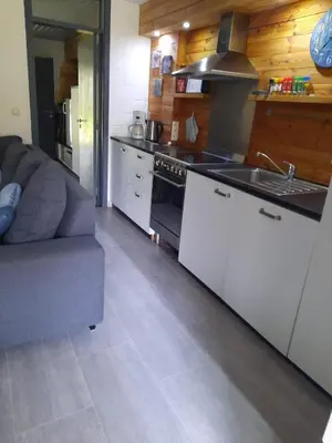 a kitchen with a stove and a couch in a room at Hengelhoef Berk 5 in Houthalen-Helchteren