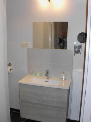 a bathroom with a sink and a mirror at B&B De Oude Winning in Riemst