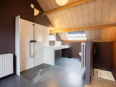 a bathroom with a shower and a sink and a toilet at t Bakhuys in Riemst