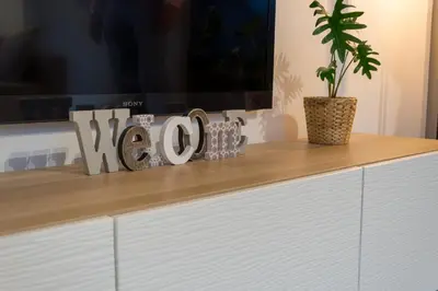 a tv on top of a dresser with a plant at Trudo Loft in Sint-Truiden