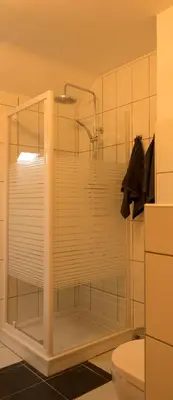 a glass shower in a bathroom with a toilet at Trudo Loft in Sint-Truiden