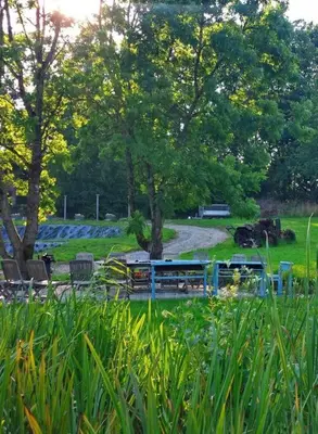 a school bus is parked in a park at Le Chat Roi - Charneux in Herve