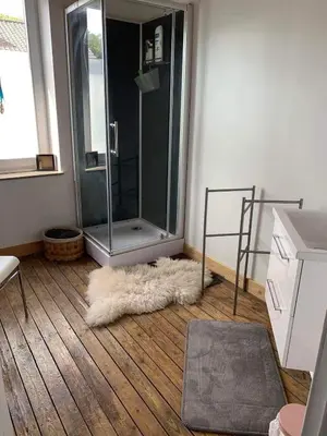 a bathroom with a shower and a rug on the floor at Au 81 in Liège