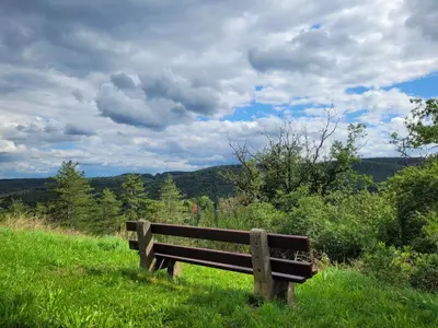 a wooden bench sitting in the grass on a hill at Gîte de Trasenster in Trooz
