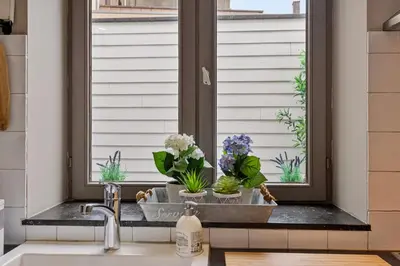 a kitchen sink with plants in a window at Bibi Tongeren in Tongeren