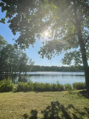 a view of a lake from under a tree at Boshuisje Pinus Sonnevijver Residences in Lanaken