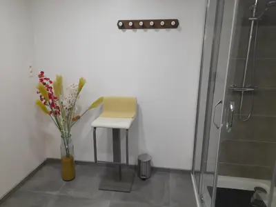 a bathroom with a chair and a vase with flowers at Chez Francis in Verviers