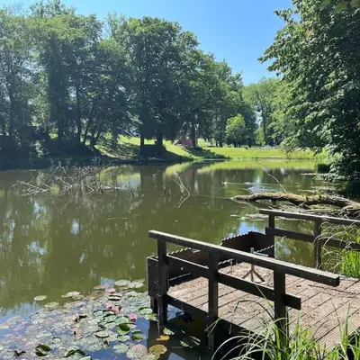 a bench sitting in front of a river with trees at Domaine des Arches in Soumagne