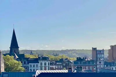 a view of a city with a church and buildings at Le Neuvice - Place du marché, Quais, Bueren in Liège