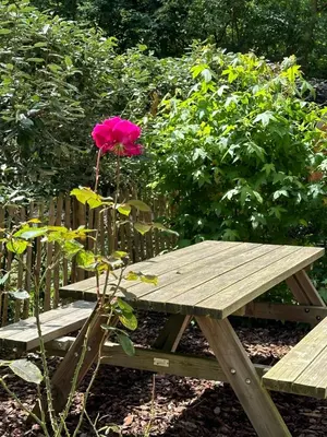 a pink rose sitting next to a picnic table at Vakantiewoning Waag in Rekem