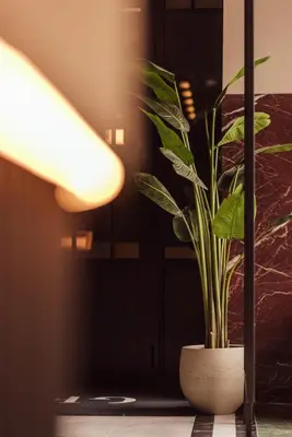 a plant in a white vase sitting on a table at Getaway Liège in Liège