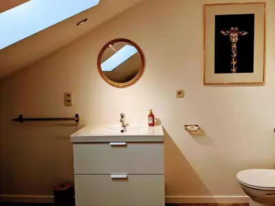 a bathroom with a sink and a toilet and a mirror at La Tour by WelcHome in Verviers