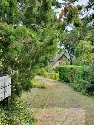 a road leading to a house with a tree overhead at Le Chateau Blanc in Verviers