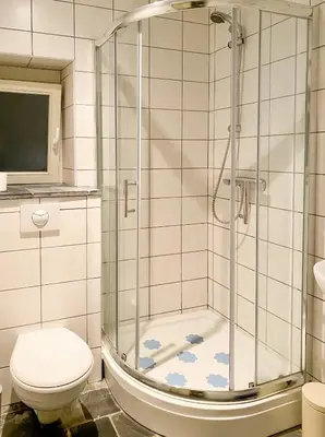a bathroom with a shower and a toilet at Authentic apartment in Voeren in Voeren