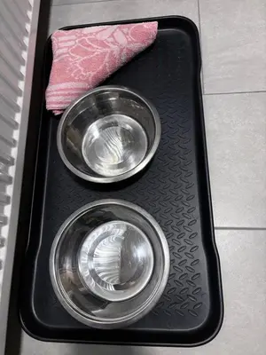 two bowls are sitting on a black tray at Studio Les Champs in Baelen