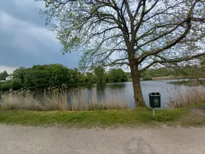 a tree next to a lake with a trash can at Ap22 Nature Ardennes Economy class apartment in La Calamine