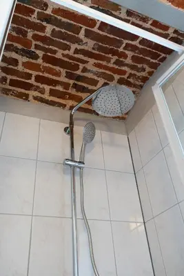 a bathroom with a shower in front of a brick wall at Vakantiewoningen Hoeve Carpe Diem - Dalhem - Aubel - Voeren in Dalhem
