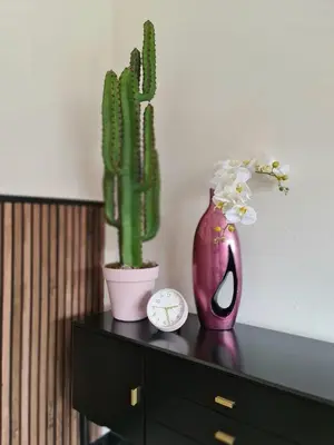 a table with a vase and a cactus and a clock at Lazy Olives in Tongeren