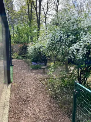 a park with a bench and a flowering tree at Spechthuisje, 4-pers bungalow in Rekem in Lanaken