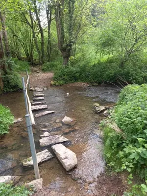 a stone bridge over a stream in a forest at Ap5 Nature Ardennes Economy class apartment in La Calamine
