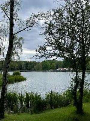 a view of a lake with trees in the foreground at Bungalow AMNIS by Sonnevijver Residences in Lanaken