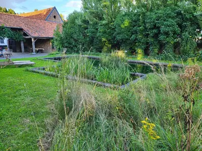 a garden with a pond in a yard at Charming and cosy ART DECO house in old historic farm with private natural pool and gardens with hiking and cycling trails nearby in Sint-Truiden