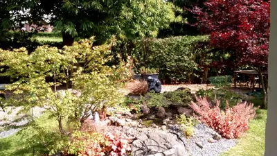 a garden with bushes and trees and a stone wall at Point Escale in Lontzen