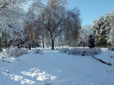 a park covered in snow with trees and bushes at Point Escale in Lontzen