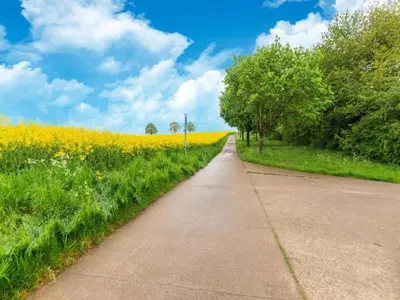 a road leading to a field of yellow flowers at Charming Family Home in Esneux in Esneux