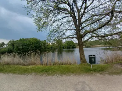 a tree next to a lake with a trash can at Ap4 Nature Ardennes Economy class apartment in La Calamine