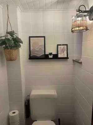 a bathroom with a toilet with two pictures and a plant at Happiness at Lili in Verviers