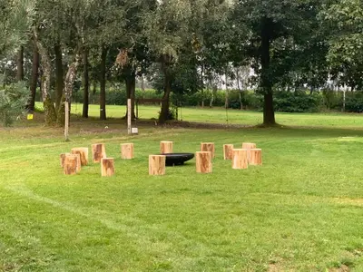 a group of tree stump benches in a park at Vakantiewoning Domein Goudveil in Zutendaal