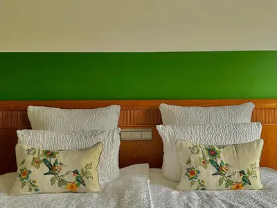 a bed with two pillows and a green headboard at Guesthouse De Wissen in Dilsen-Stokkem