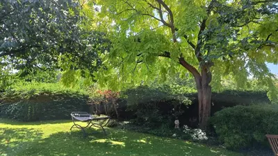 a bench sitting in the grass under a tree at Gusta in Maasmechelen