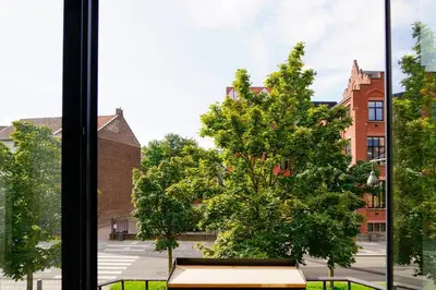 a window view of a tree outside a building at LOFT 44 - thuis in Hasselt in Hasselt