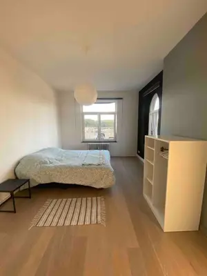 a bedroom with a bed and a window and a rug at Bel appartement spacieux Verviers in Verviers