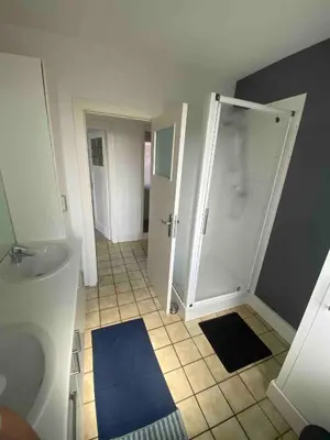 a bathroom with a shower and a sink at Bel appartement spacieux Verviers in Verviers